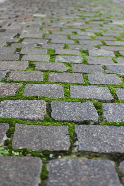 Adoquines, distrito sur Rosario