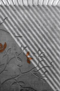 WhatsApp Image 2025-11-23 at 3.09.06 PM (1)