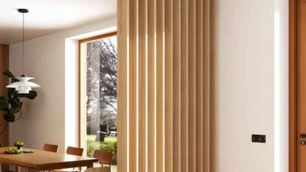 Living Room Unique Partition Designs