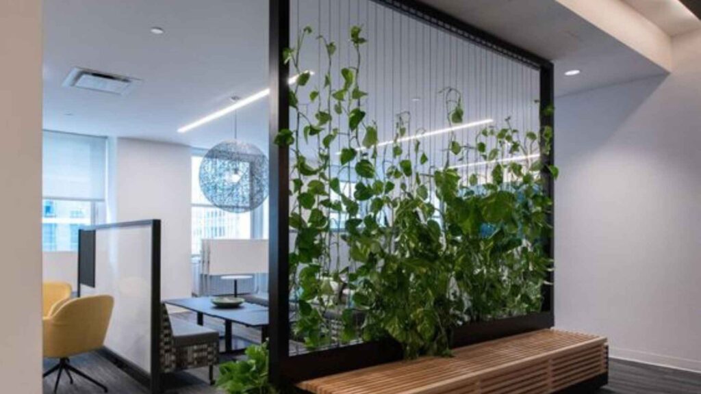 Living Room Unique Partition Designs