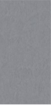 Beton Gris