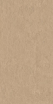 Beton Camel