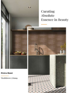 Subway Tiles 75×300mm Petra Rust Glossy